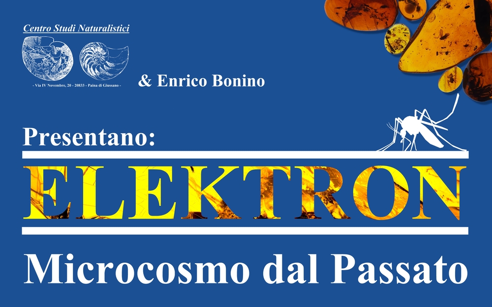 Inaugurazione mostra Elektron - microcosmo dal passato