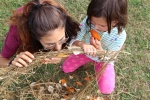 Manuela Vertemati Bosc’Orto sensoriale. Percorso sensoriale a tema natura