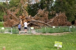 Il clima cambia, cambiano anche i Giardini storici